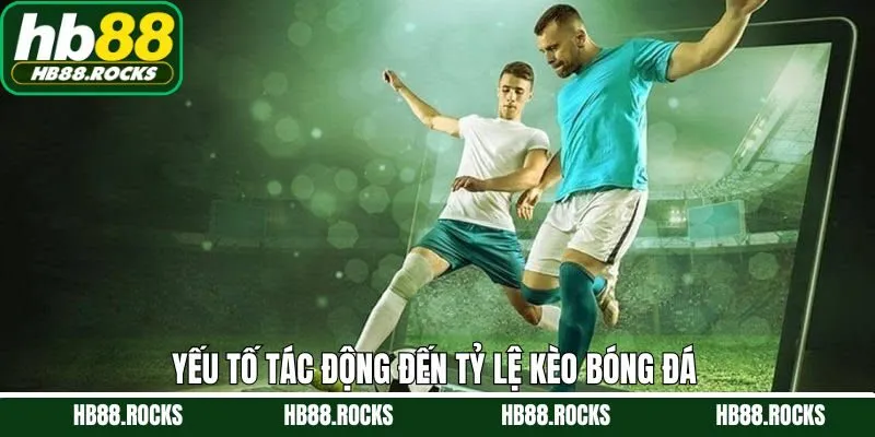 Yếu tố ảnh hưởng đến tỷ lệ cược của nhà cái