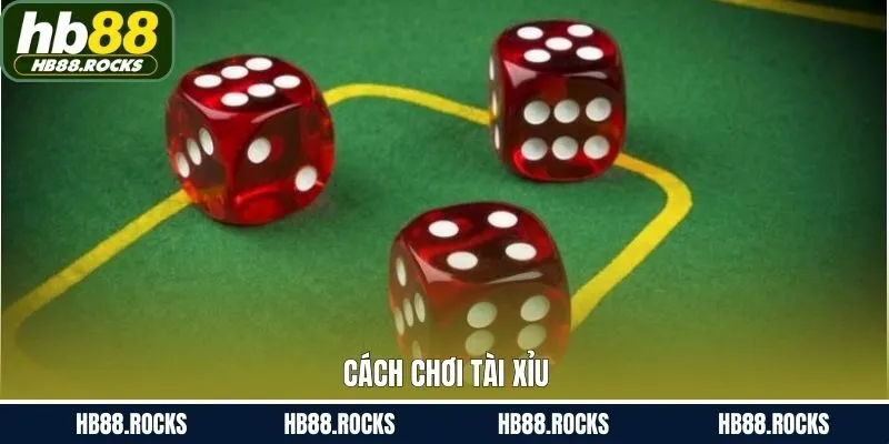 Cách Chơi Tài Xỉu Dễ Hiểu Dành Cho Tân Binh Tại HB88