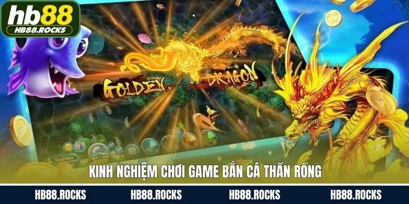 Chiến lược hữu ích khi tham gia cuộc săn cá thần rồng thành công